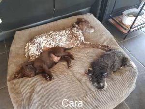 Cara2_neues Zuhause